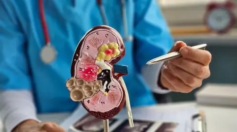 shutterstock_2567423907