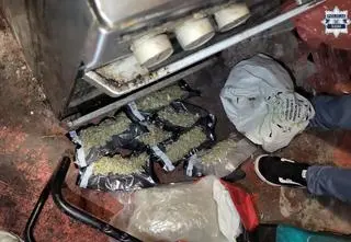 Dziewięciu zatrzymanych. Za przemyt marihuany z USA do Polski