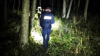 Zgubił się na mokradłach 