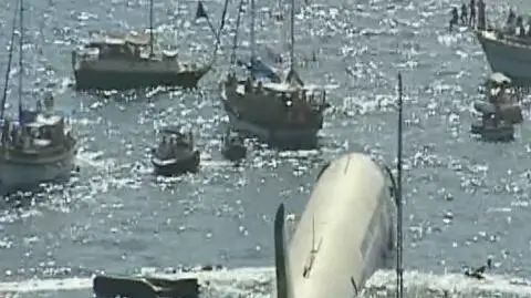 Zatopili samolot wart 100 tys. dolarów