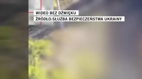 Służba Bezpieczeństwa Ukrainy 