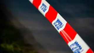 Pomógł starszej kobiecie wnieść zakupy i brutalnie ją zabił. Wybuch miał zatrzeć ślady