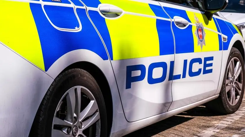 Nie żyje niemowlę pogryzione przez psa. Zwierzę miało wystraszyć się fajerwerków