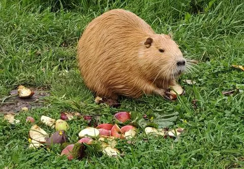 Jest ich coraz więcej, ale wciąż mamy szansę na uniknięcie masakry