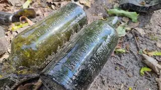Butelki po wodzie mineralnej z Polanicy Zdroju z końca XIX w.