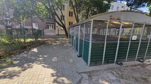 Na grochowskim osiedlu zalęgły się szczury