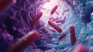 Polski przełom w walce z superbakterią. Naukowcy z Gdańska z patentem na nowy środek antybakteryjny