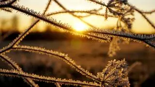 Tu rano trzymają przymrozki i snują się mgły