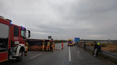 Zderzenie busów na A1