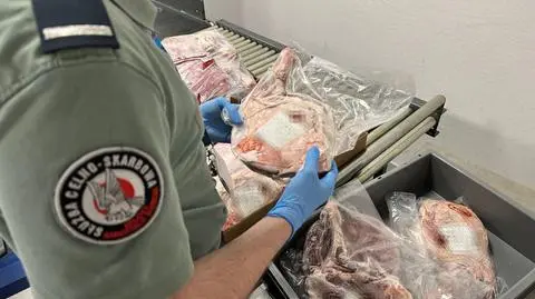 W walizkach przewoził mięso. Celnicy mówią o rekordzie