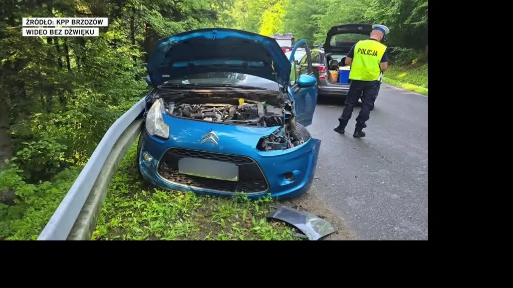 slajd