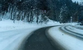 Naukowcy opracowali asfalt z dodatkiem alg