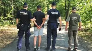 Odpalał fajerwerki w młodniku 