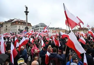 Manifestacja PiS w sprawie migracji i umowy z Mercosur