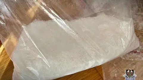 10 kilogramów narkotyków w kontenerze. Wśród nich fentanyl