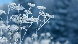 Cyklon Nils i duża zmiana na termometrach. Co nas czeka w pogodzie