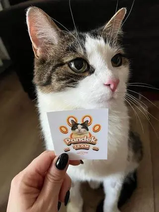 Pandek przeszedł długotrwałe leczenie