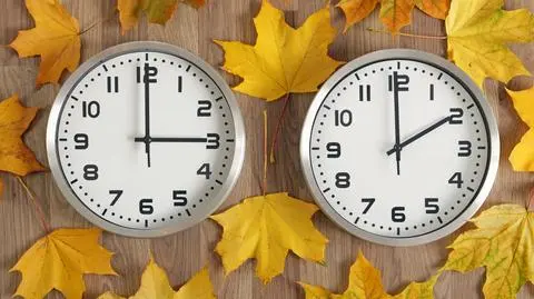 shutterstock_2323945857