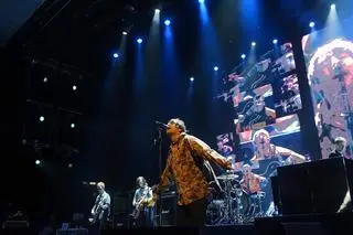Oasis