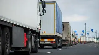 Szokujące znalezisko w ciężarówce, za kierownicą Polak