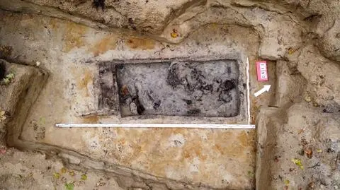 Ludzkie szczątki na Westerplatte. "Pozostałości ubrań wskazują, że to osoba cywilna"