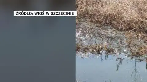 WIOŚ w Szczecinie