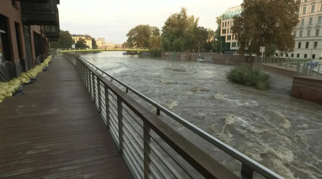 Odra we Wrocławiu 19.09.2024, zdjęcie z godz. 7.00
