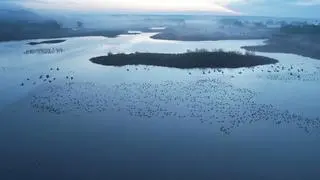 Park Narodowy Ujście Warty to ptasie królestwo