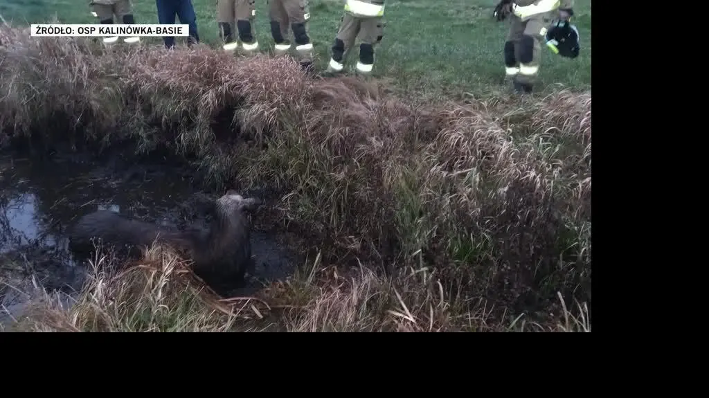 OSP Kalinówka-Basie