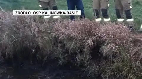 OSP Kalinówka-Basie