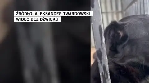 Aleksander Twardowski