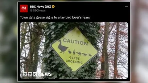 Znak ostrzegający przed... gęsiami. Postawiono go po poważnym wypadku