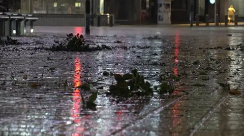 Silny wiatr nie odpuszcza. Przybyło alertów IMGW