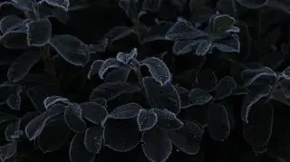 Ostrzeżenia IMGW dla trzech województw