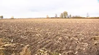 Działka w Zabłotni ma zostać zwrócona za cenę pierwotnego zakupu, czyli 22,76 mln zł 