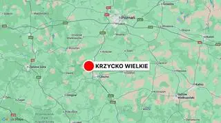 Wypadek awionetki w Krzycku Wielkim