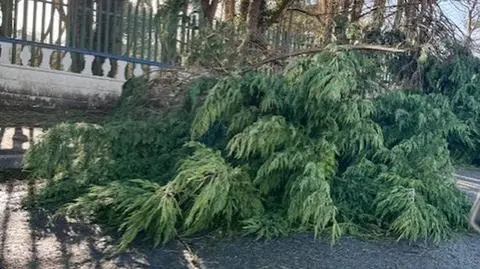 "Miasto jest zdemolowane, wiatr rozrywa drzewa na pół". Relacja Polki z Galway