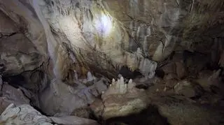 Sala Mastodonta w Jaskini Niedźwiedziej w Kletnie