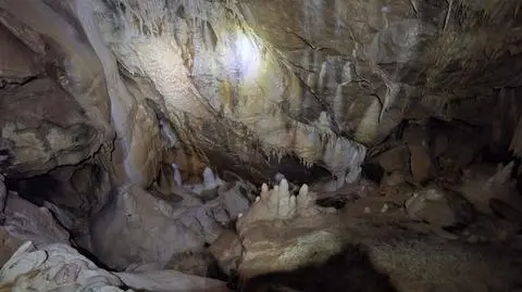 Sala Mastodonta w Jaskini Niedźwiedziej w Kletnie