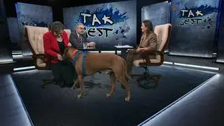 Jengo w studiu "Tak jest"