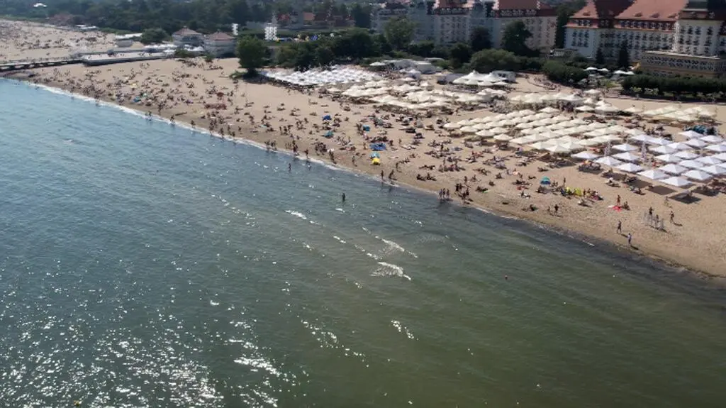 Sinice w Bałtyku 