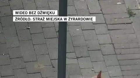 Straż miejska w Żyrardowie 