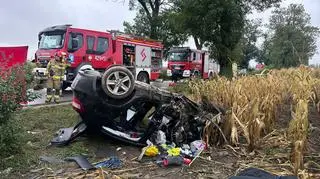 Kierowcy nie udało się uratować