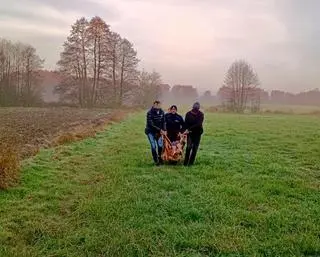 Szczęśliwy finał poszukiwań 82-latki