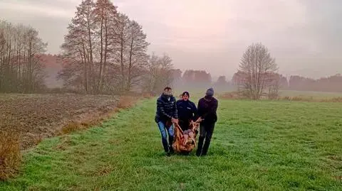 Szczęśliwy finał poszukiwań 82-latki