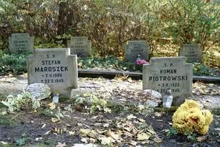 Polegli Cytadelowcy spoczywają obok siebie