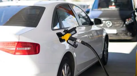 shutterstock_1372737359