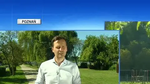 olek live 