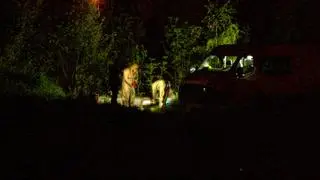 Działania na miejscu znalezienia zwłok