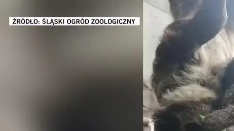 zoo